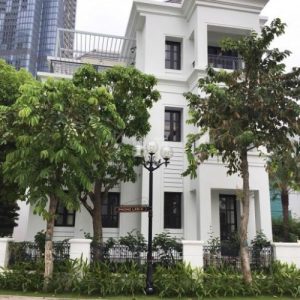 Biệt thự song lập 326m