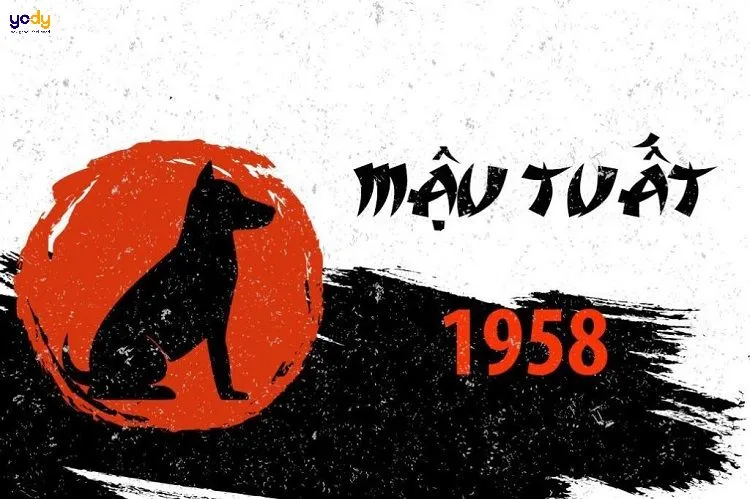 Hình ảnh một chú chó cảnh đáng yêu, biểu tượng cho người tuổi Tuất 1958