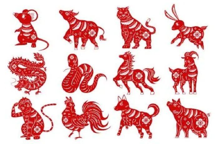 Những tuổi hợp làm ăn với người tuổi Hợi là Mão và Mùi, mang lại sự hòa hợp và may mắn