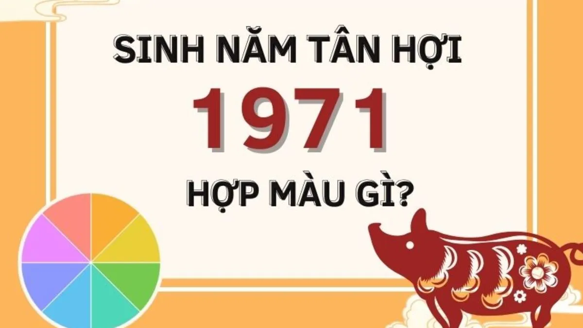Tân Hợi sinh năm 1971 hợp màu gì, kỵ màu gì