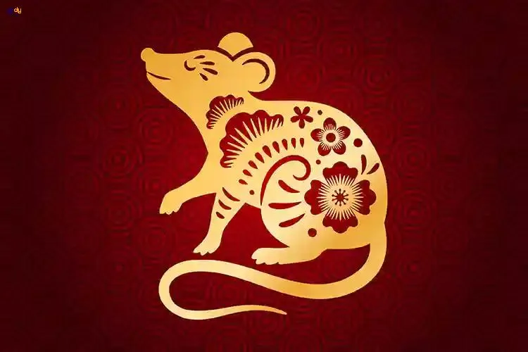 Người sinh năm 1996 tuổi con chuột