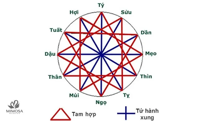 Bảng các con giáp được sắp xếp theo vòng tròn, minh họa các mối quan hệ hợp khắc