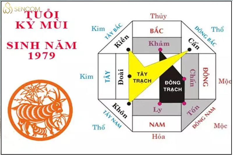 La bàn phong thủy chỉ các hướng hợp cho gia chủ