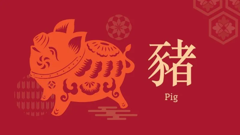 Hình ảnh minh họa về cung mệnh của nam và nữ giới