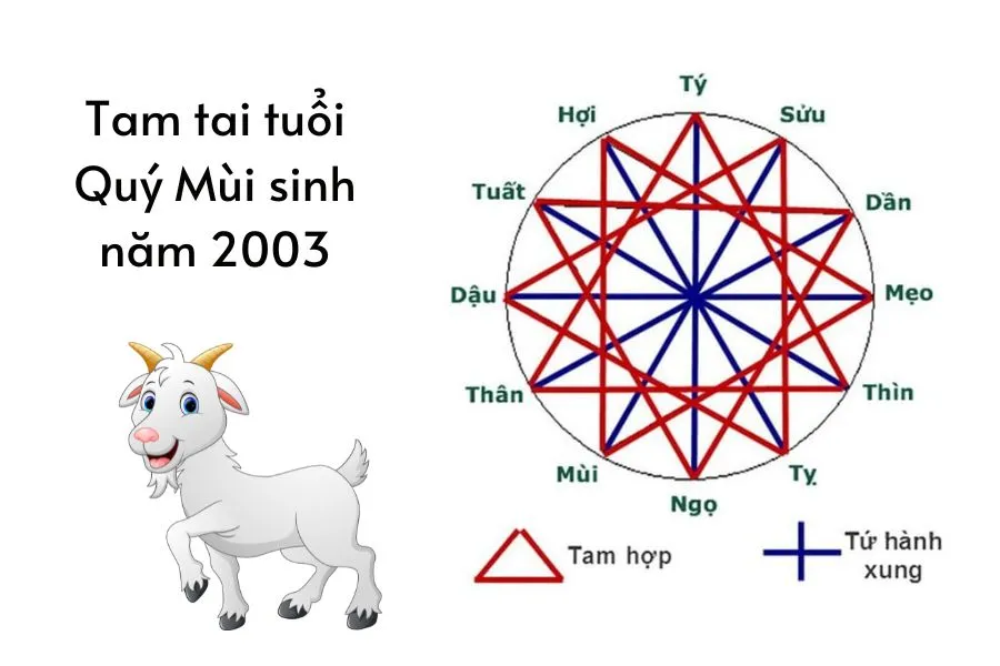 Cách tính tam tai cho người tuổi Dê 2003