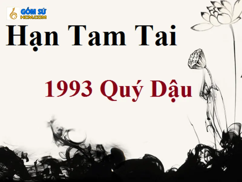 Biểu đồ chu kỳ Tam Tai cho tuổi Quý Dậu 1993