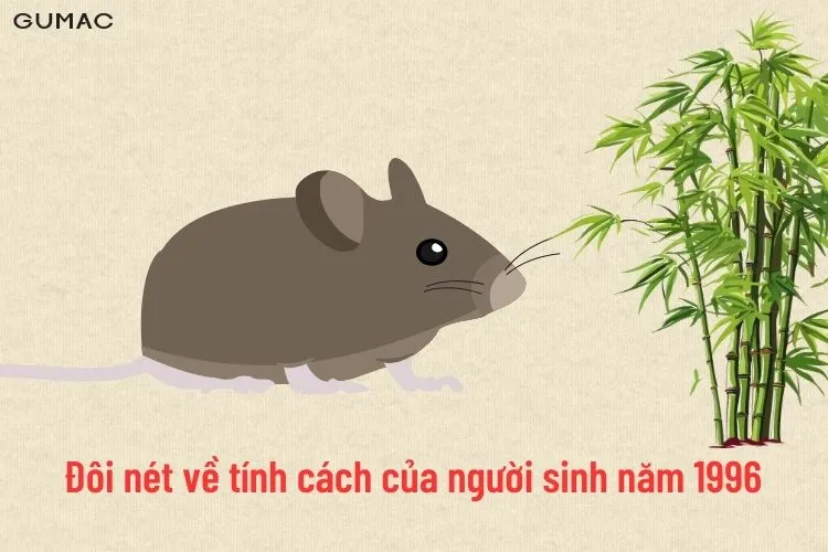Đôi nét về tính cách của người sinh năm 1996