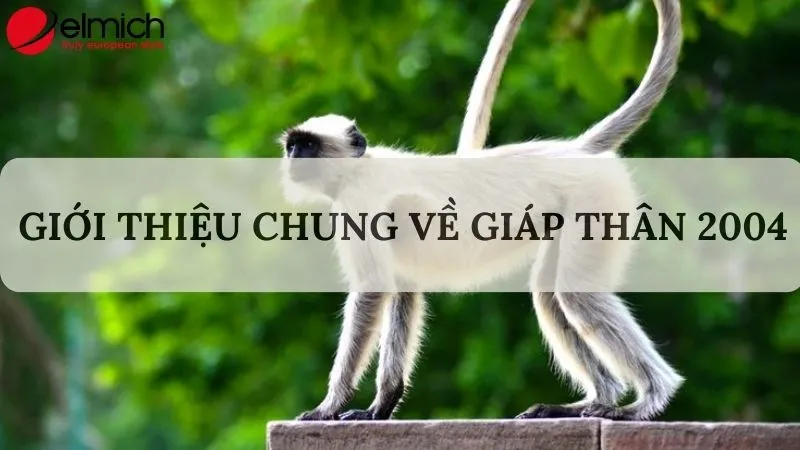 Tổng quan về người tuổi Giáp Thân sinh năm 2004
