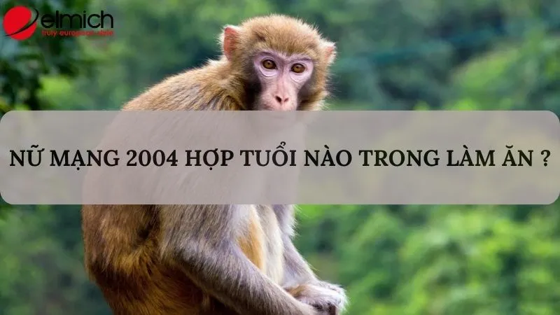 Nữ mạng Giáp Thân 2004 nên chọn tuổi Đinh Sửu và Bính Tuất để làm ăn