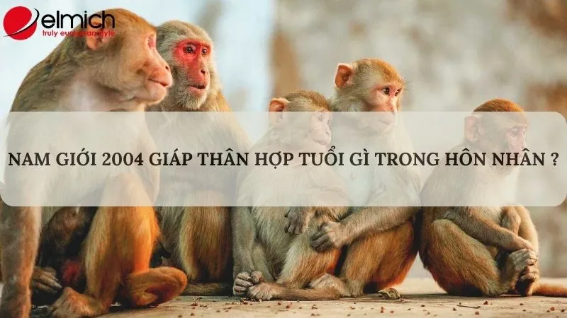 Những tuổi phù hợp với nam mạng Giáp Thân 2004 trong hôn nhân