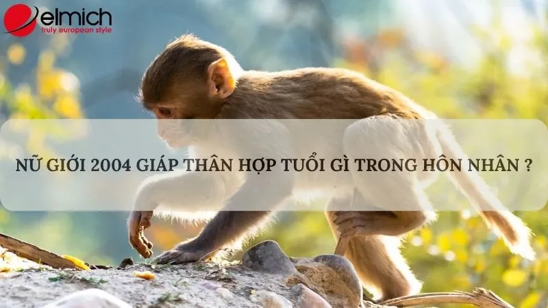 Nữ mạng Giáp Thân 2004 nên chọn chồng tuổi Nhâm Ngọ hoặc Tân Tỵ