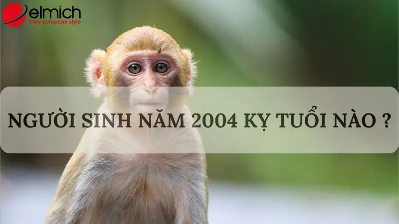 Một số vấn đề xoay quanh tuổi Giáp Thân 2004