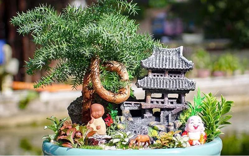 Cây Lan Ý - Lựa chọn phong thủy tuyệt vời cho người tuổi Đinh Mùi mệnh Thủy