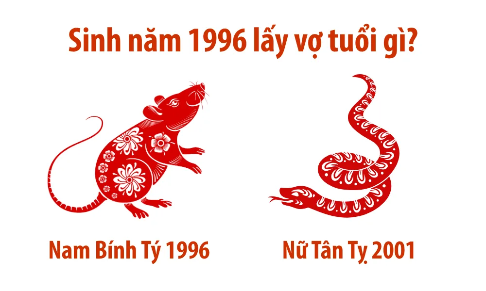 Nam Bính Tý 1996 lấy vợ tuổi Tân Tỵ 2001