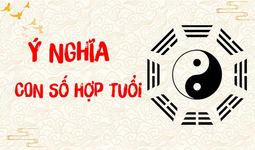 Các con số may mắn cho người tuổi Nhâm Dần 1962