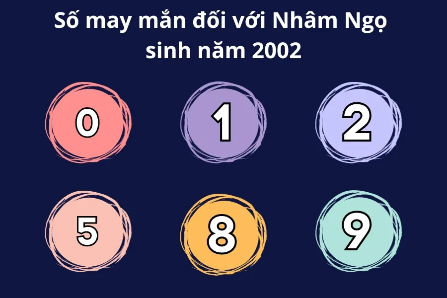 Số may mắn của người sinh năm 2002