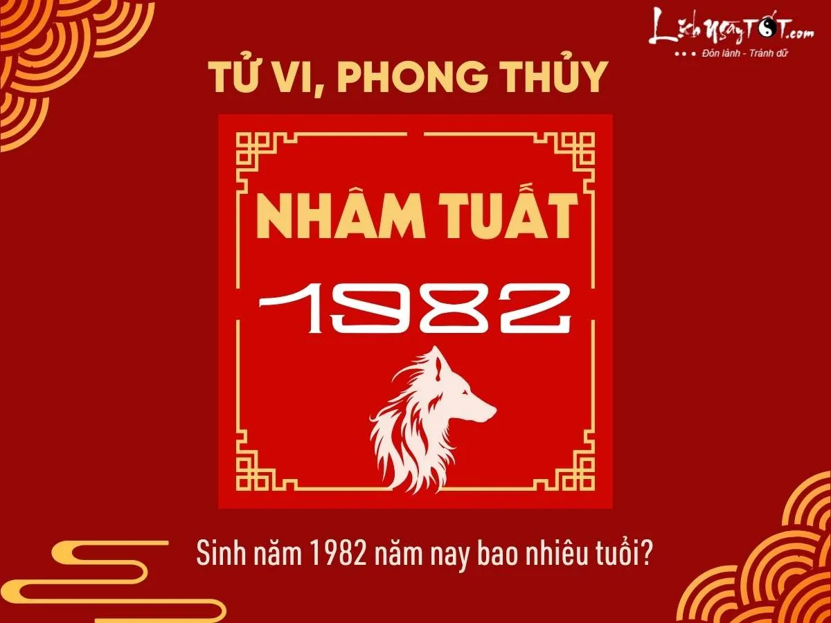 Mô tả tổng quan về các yếu tố tử vi, phong thủy của người tuổi Nhâm Tuất 1982