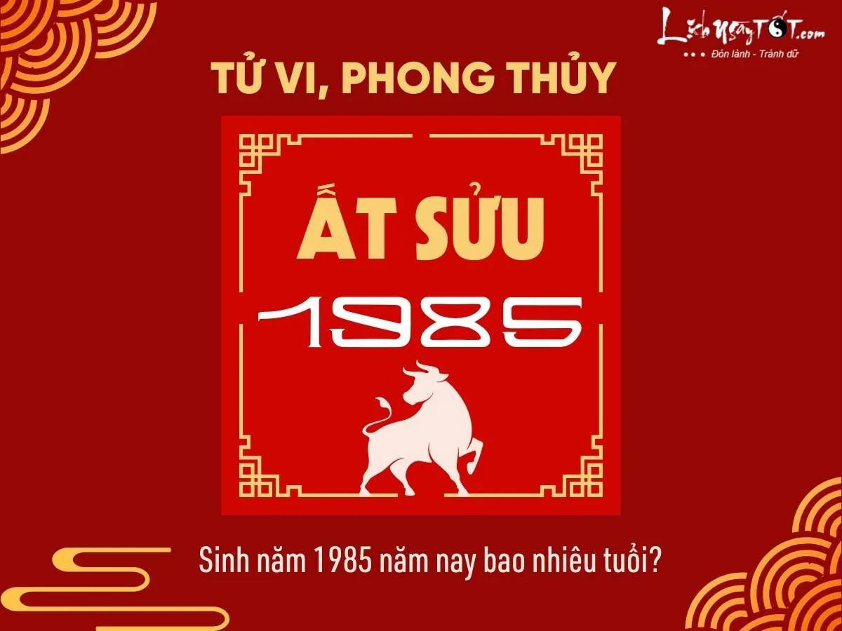 Năm 2025, người sinh năm 1985 sẽ bước sang tuổi 40 theo Dương lịch và 41 theo Âm lịch.