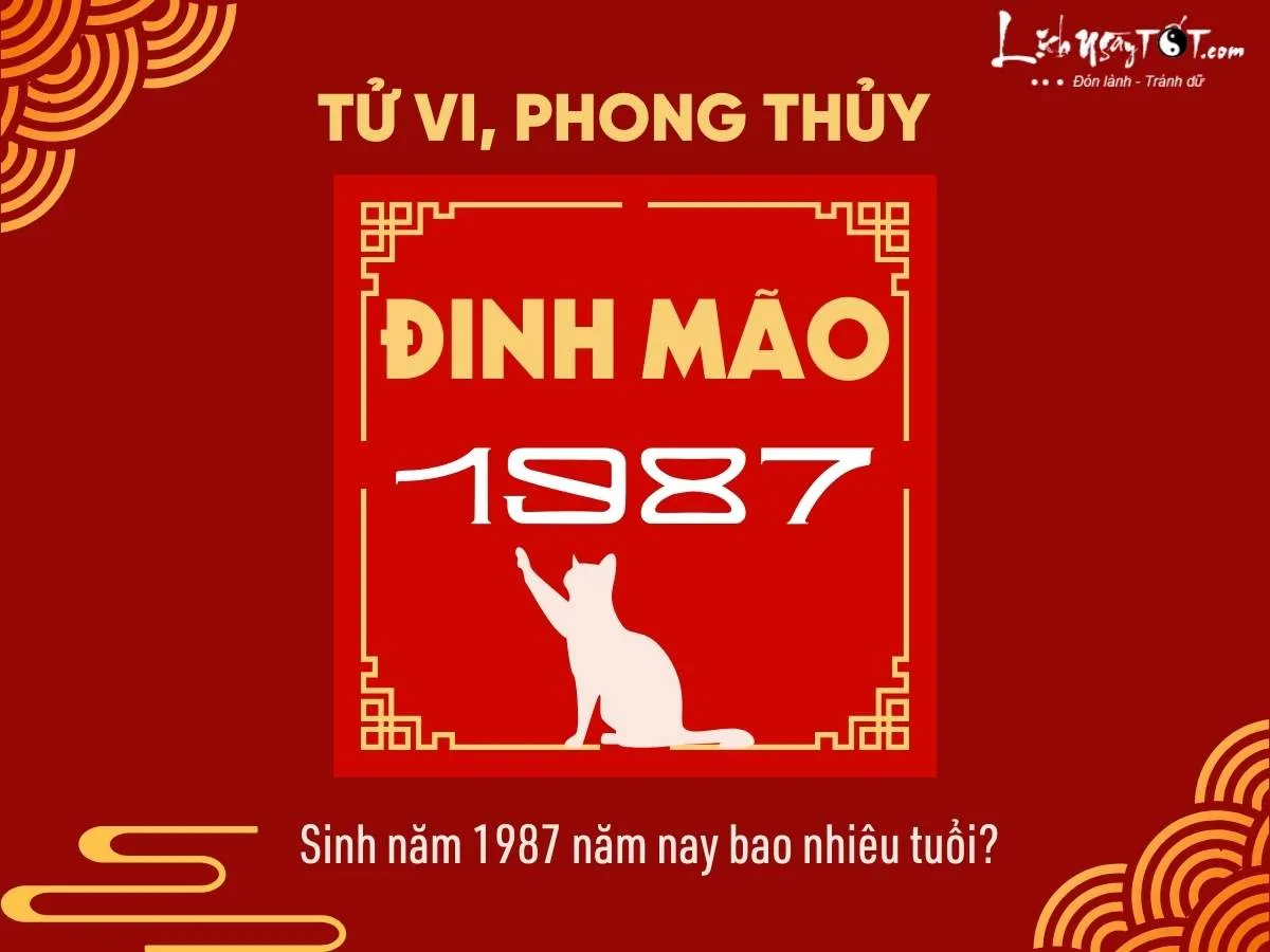 Bí ẩn vận mệnh tuổi Đinh Mão 1987 năm 2025