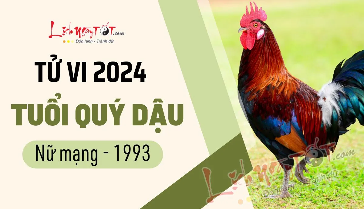 Người phụ nữ làm việc tại văn phòng hiện đại