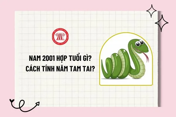 Nam sinh 2001 tìm hiểu tuổi hợp kết hôn và cách tính tam tai
