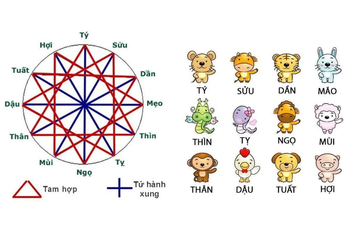 Ảnh minh họa: Tam hợp tuổi Thìn, Tý, Thân