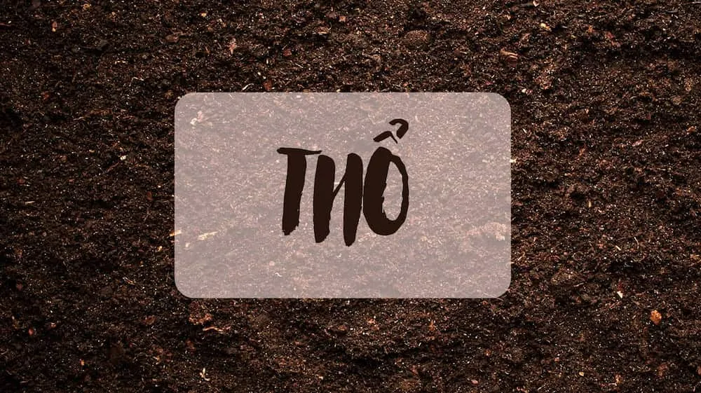 Người sinh năm 1998 thuộc mệnh Thổ theo phong thủy