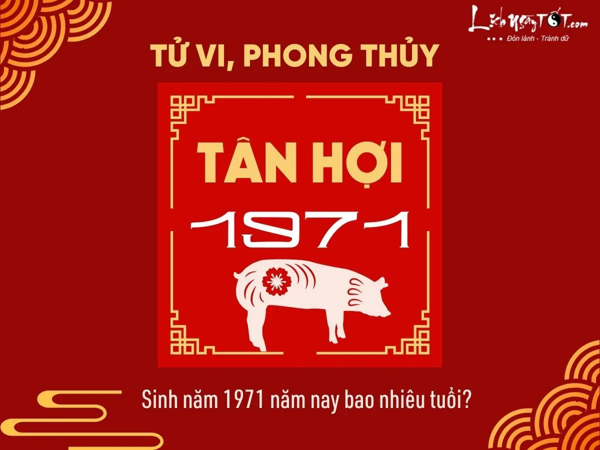 Sinh nam 1971 nam nay bao nhieu tuoi?