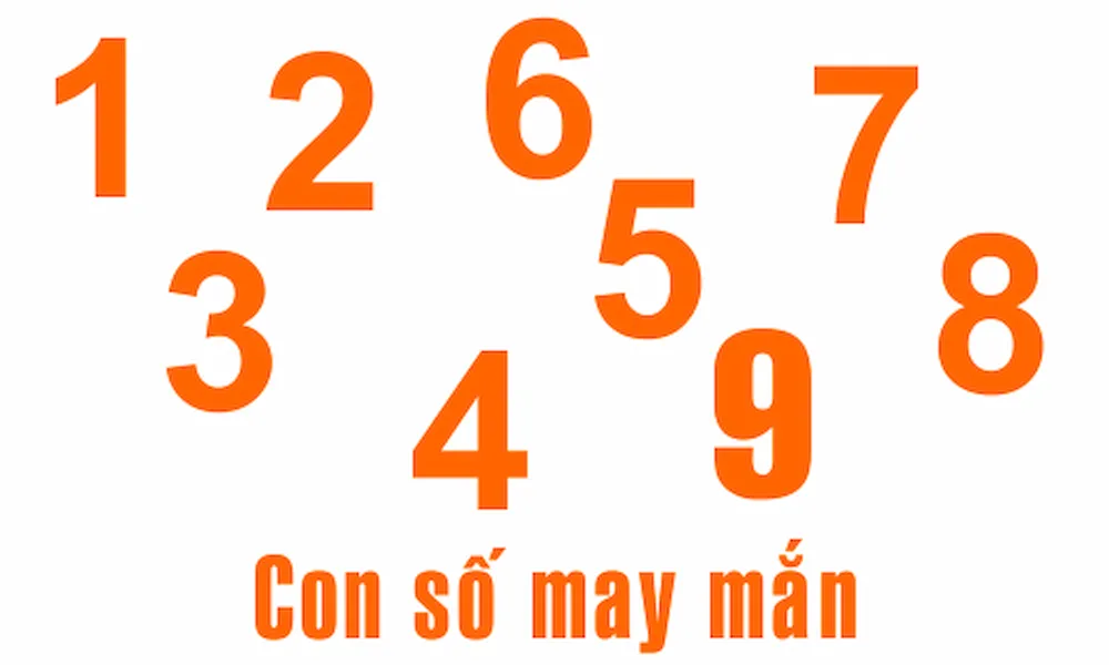 Các con số may mắn phù hợp với người sinh năm 2003