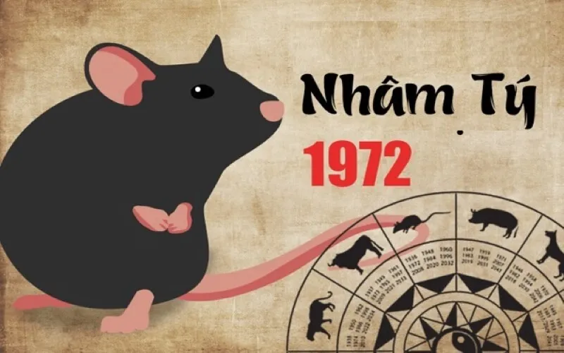 Tổng quan về tuổi Nhâm Tý 1972 và mệnh Ngũ hành